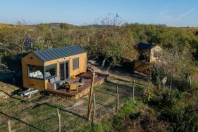 Feelmore Tiny House Eger